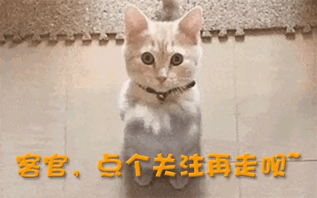 韩汶栩 网红人设崩塌 粉丝爆料_韩国娱乐圈的黑料