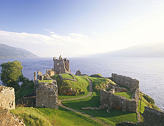 吃瓜51吃的朝阳群众|朝阳群众瓜田大战:网络舆论风向标-3